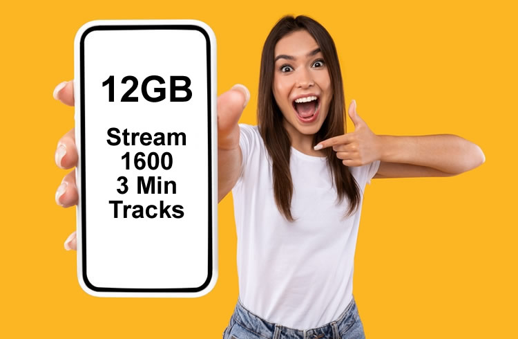 How much is 12GB of data and do I need more than that?